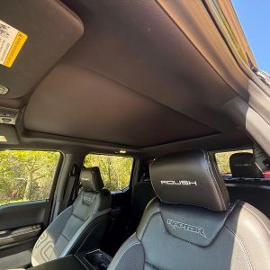 2019 Ford F150 SuperCrew Cab Raptor Pickup
