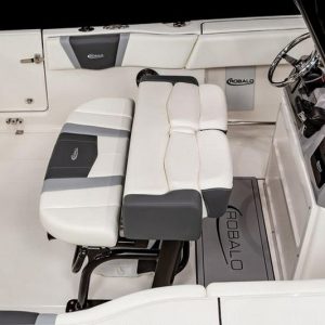 2024 Robalo R250 Center Console
