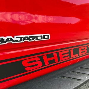 2014 Ford F-150 Shelby Baja Raptor