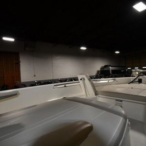 2022 Boston Whaler 250 Dauntless