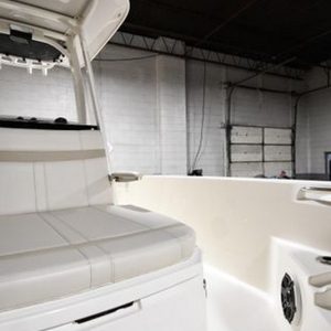 2022 Boston Whaler 250 Dauntless