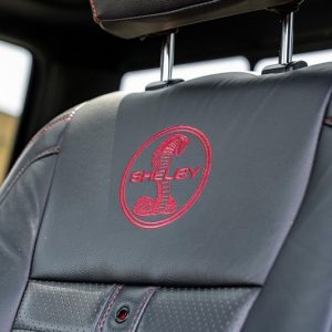 2019 Ford Shelby F-150 4×4