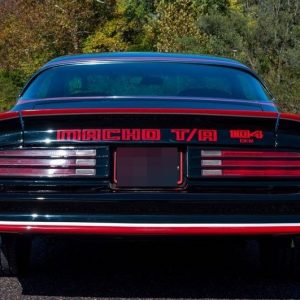 1978 Pontiac Trans Am Macho