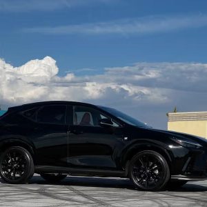 2022 Lexus NX 450h+ F-Sport